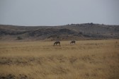 p1010680.jpg