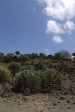 p1010715.jpg