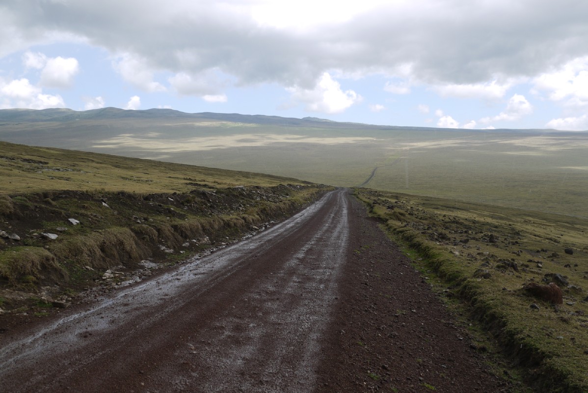 p1010736.jpg