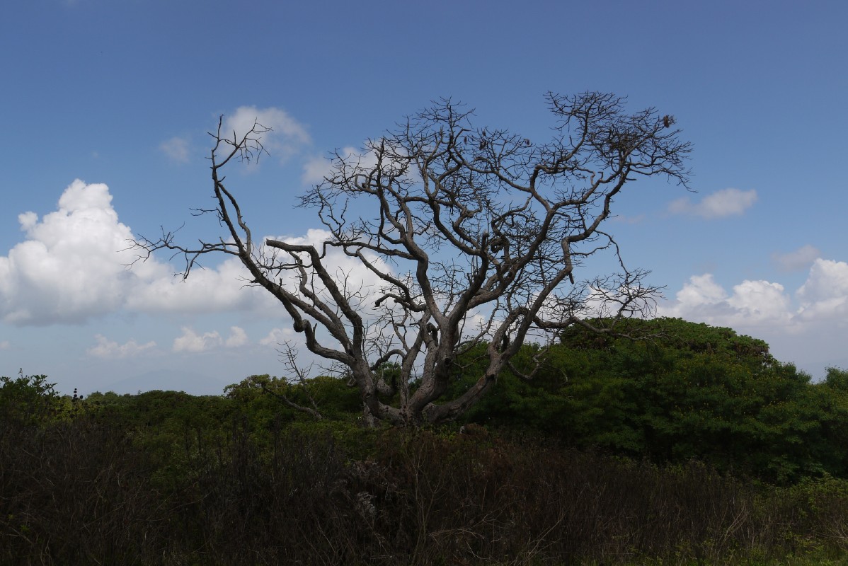 p1010743.jpg