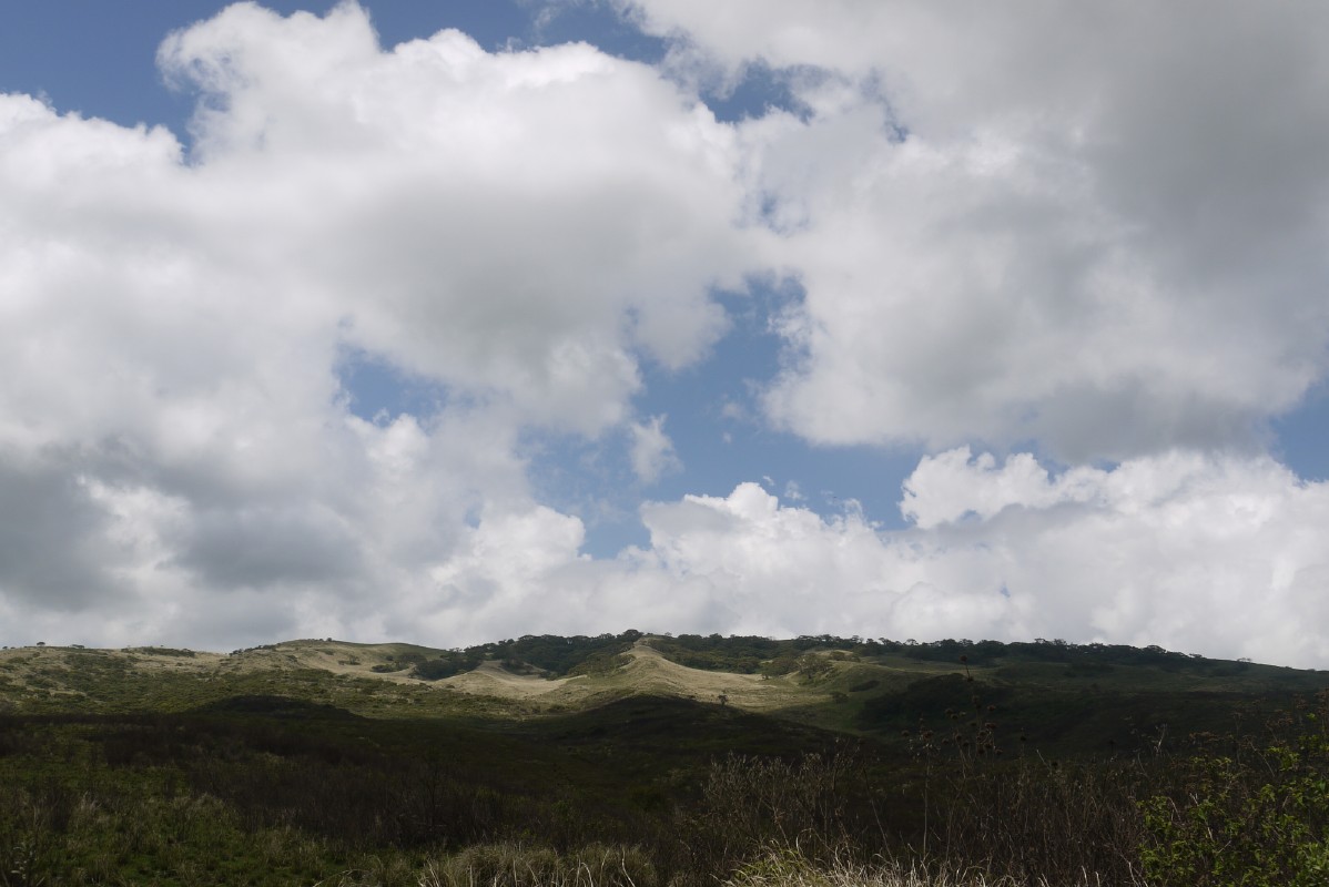 p1010746.jpg