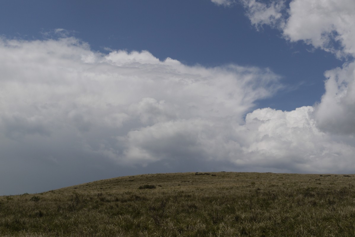 p1010750.jpg
