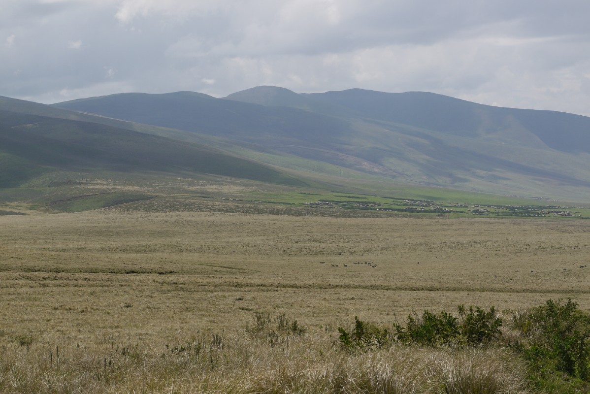 p1010751.jpg