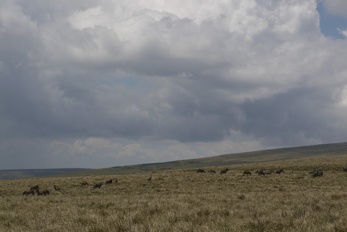 p1010753.jpg