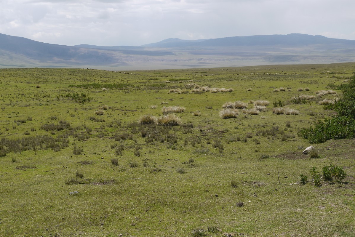 p1010759.jpg