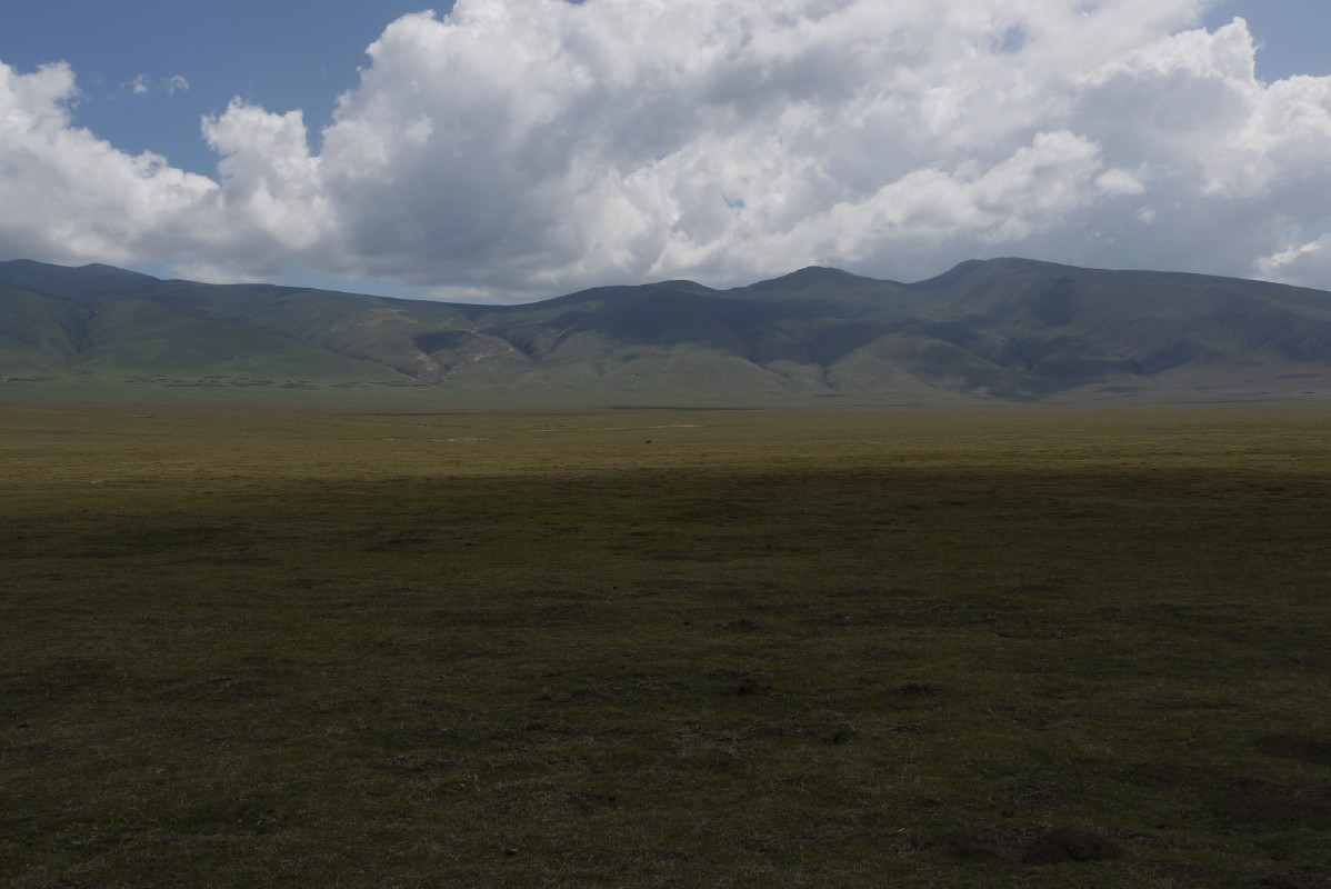 p1010765.jpg