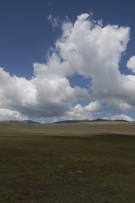 p1010766.jpg