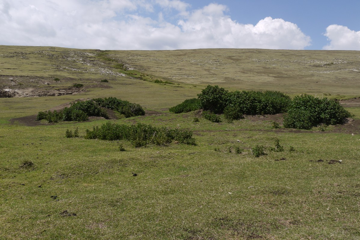 p1010767.jpg