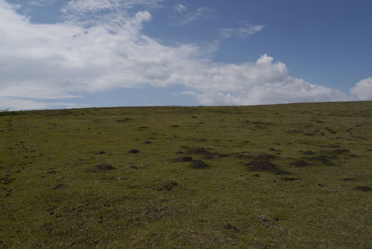 p1010789.jpg