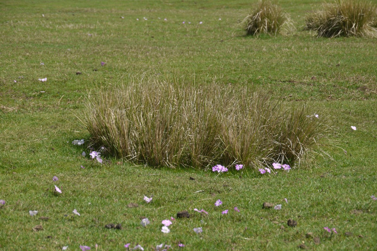 p1010797.jpg