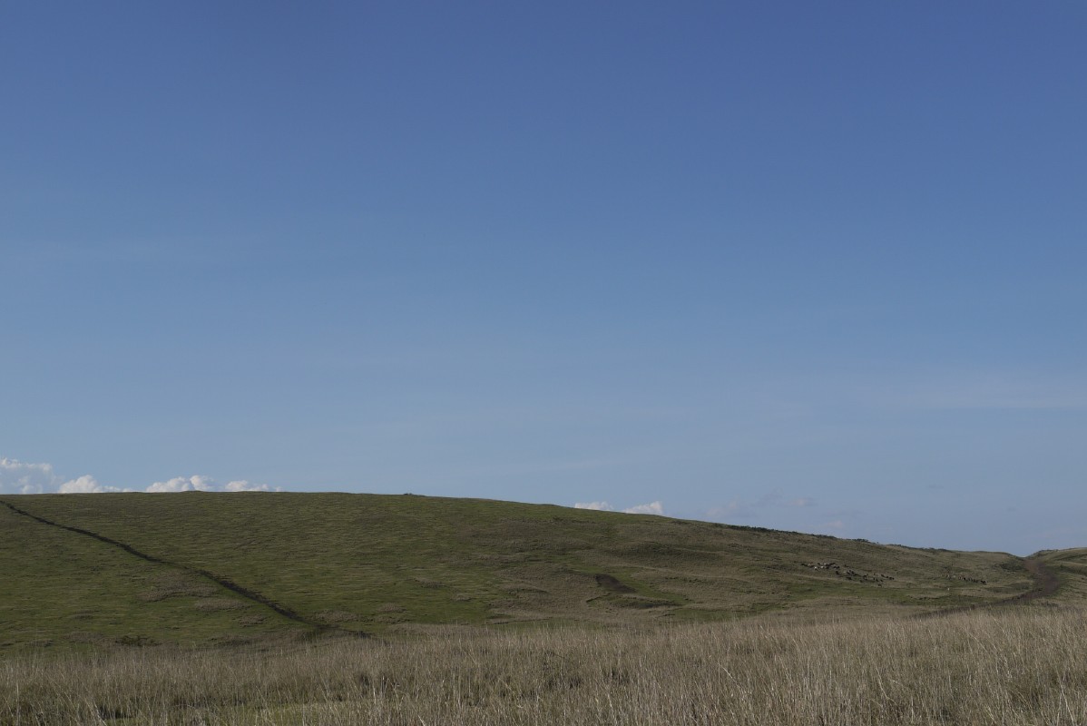 p1010815.jpg