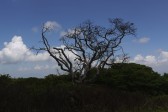 p1010743.jpg