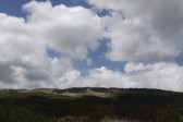 p1010746.jpg