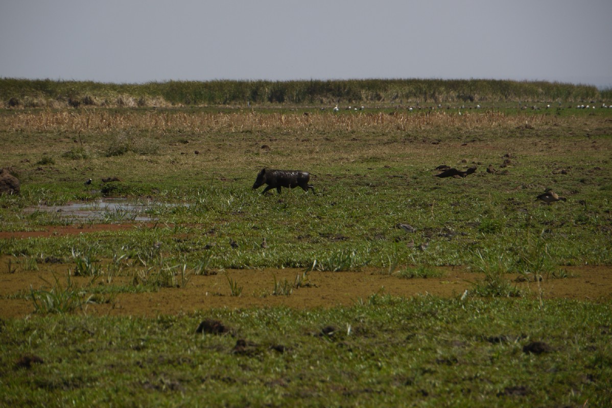 p1010876.jpg
