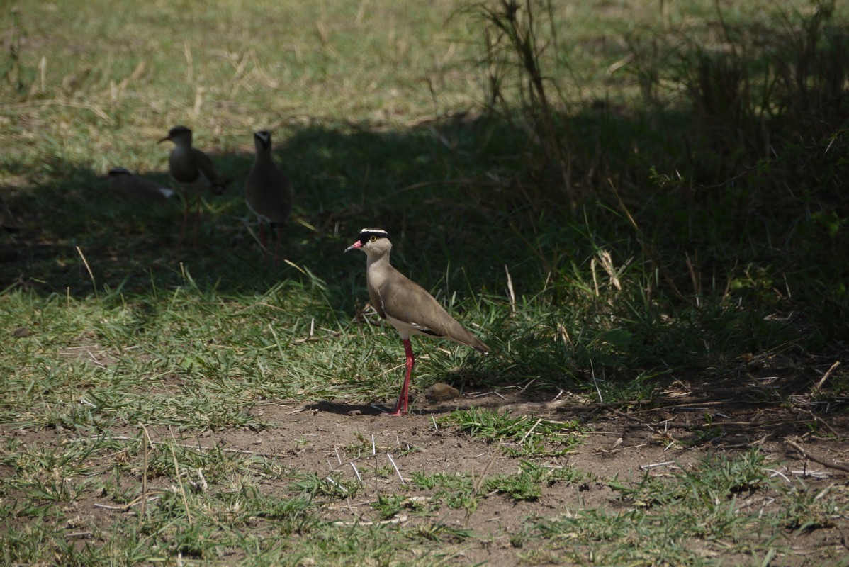 p1010879.jpg