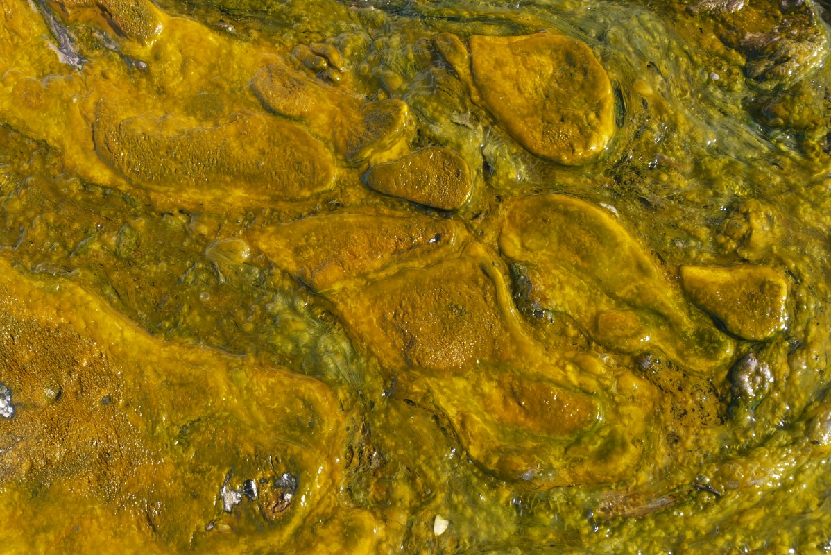 p1010916.jpg