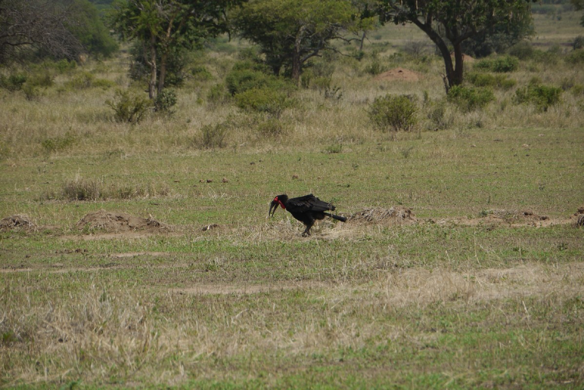 p1020004.jpg