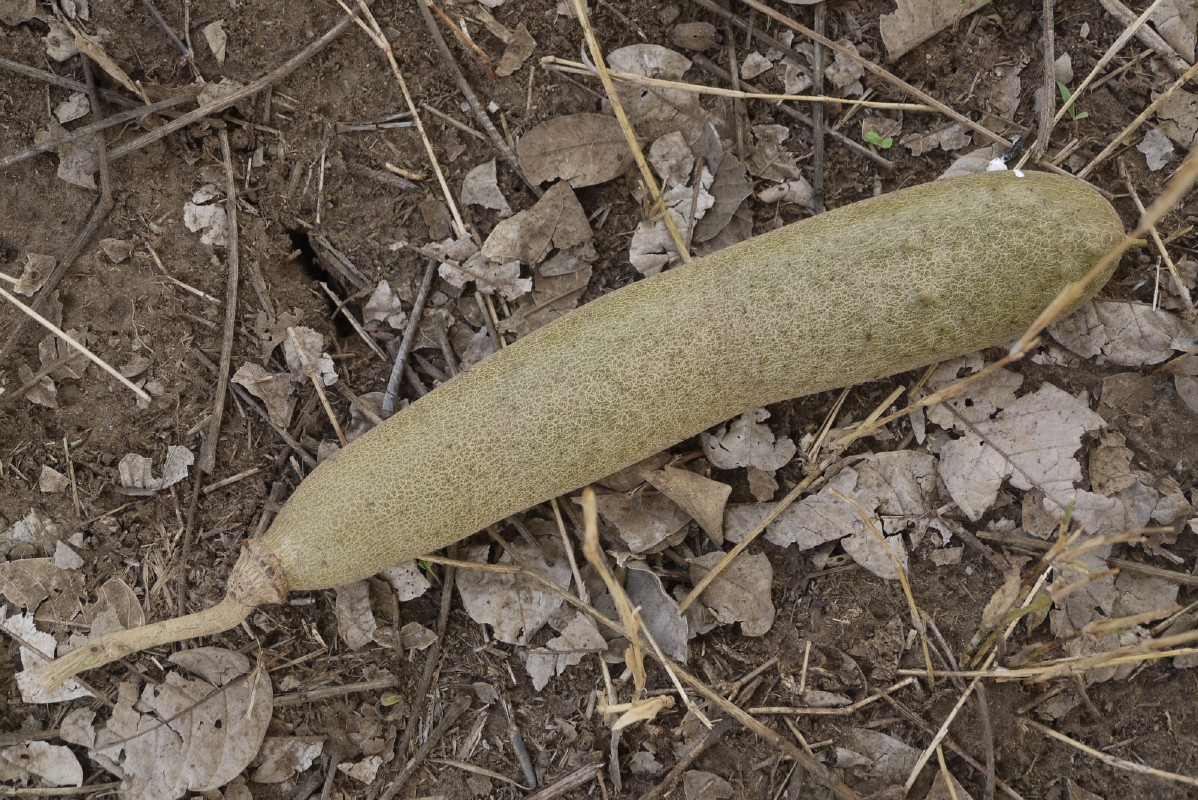 p1020019.jpg