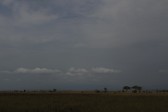 p1010964.jpg