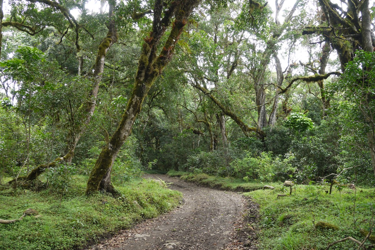 p1020101.jpg