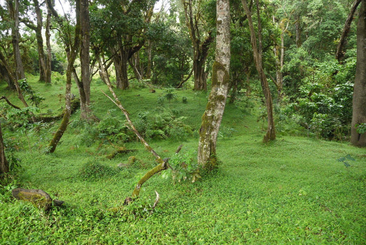 p1020108.jpg
