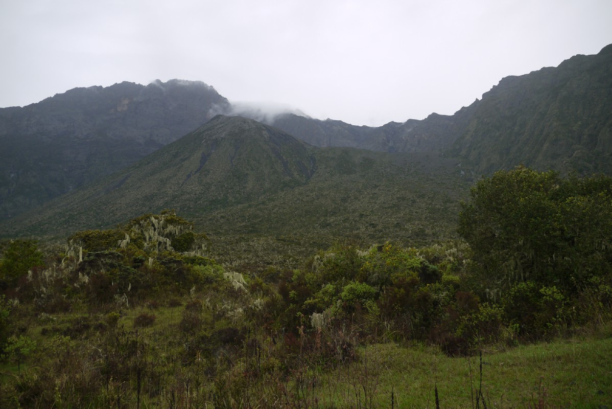 p1020120.jpg