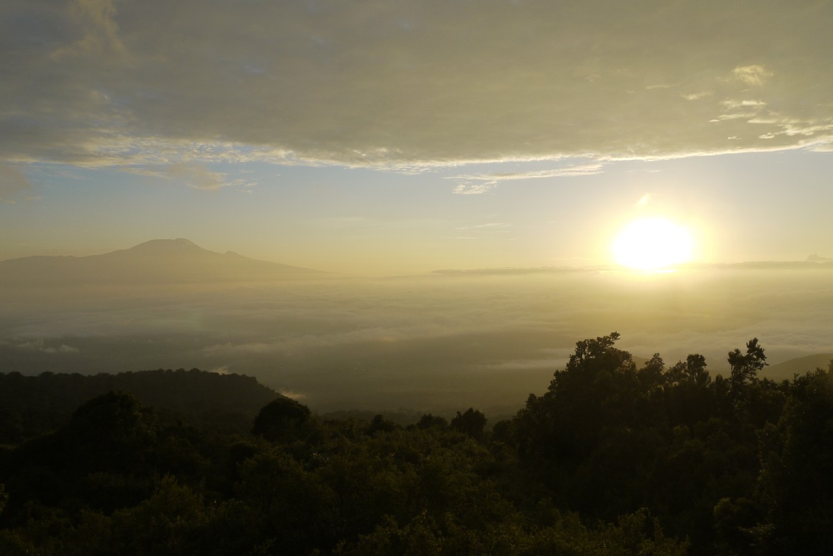 p1020135.jpg