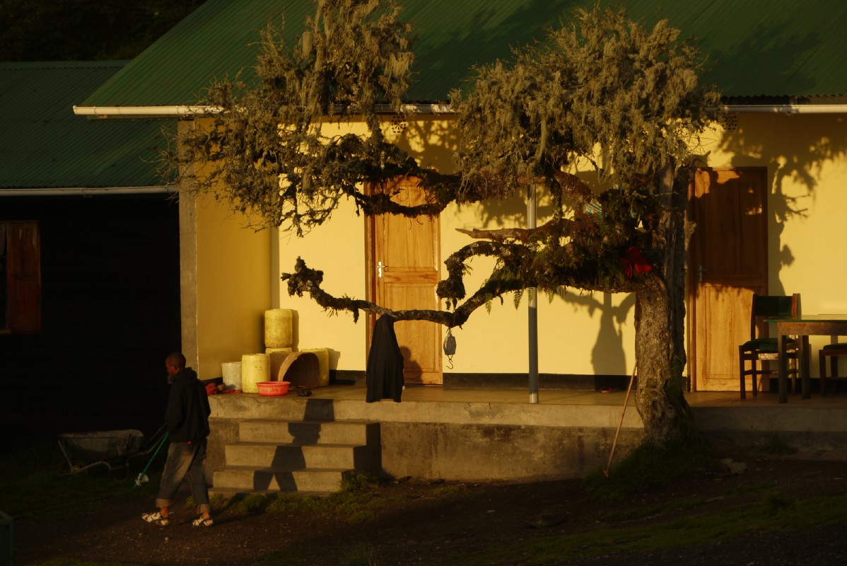 p1020141.jpg