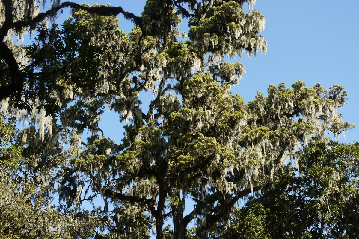 p1020161.jpg