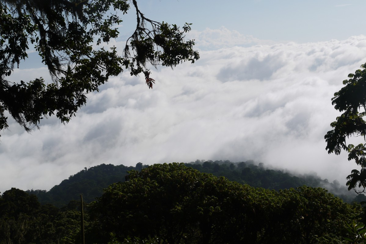 p1020162.jpg