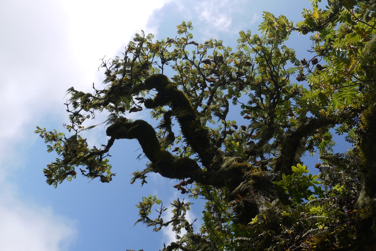 p1020165.jpg