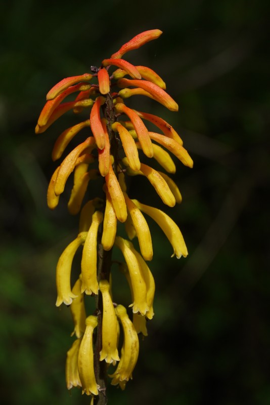 p1020174.jpg
