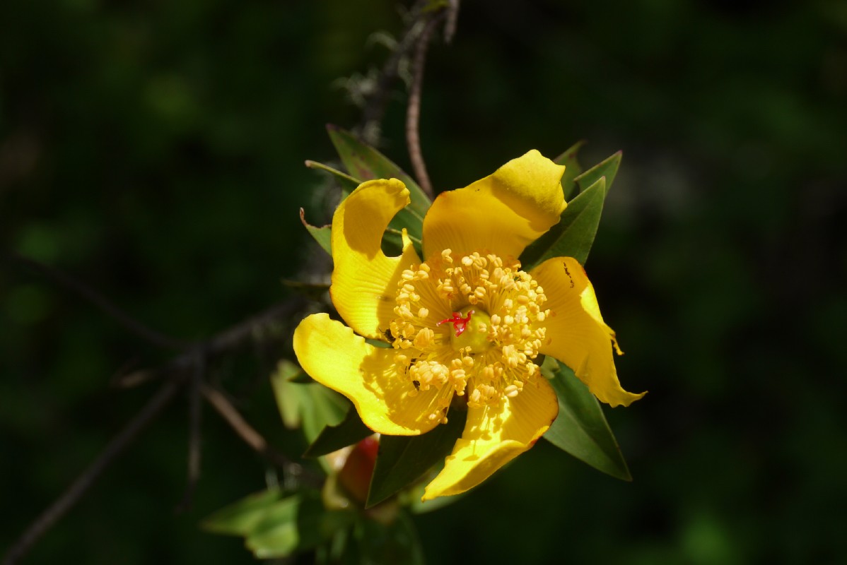p1020175.jpg
