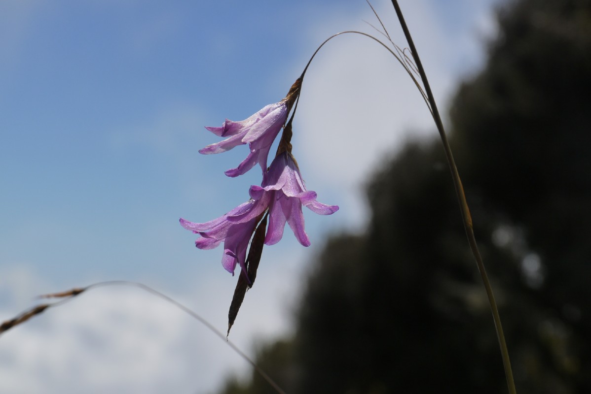 p1020180.jpg