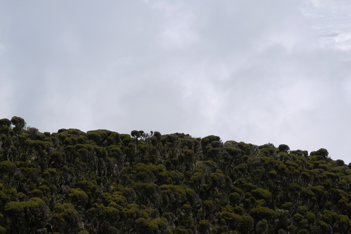 p1020182.jpg