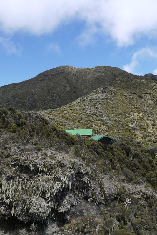 p1020183.jpg