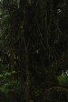 p1020117.jpg