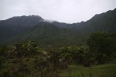 p1020120.jpg