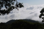 p1020162.jpg