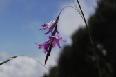 p1020180.jpg