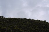 p1020182.jpg