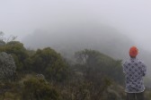p1020186.jpg