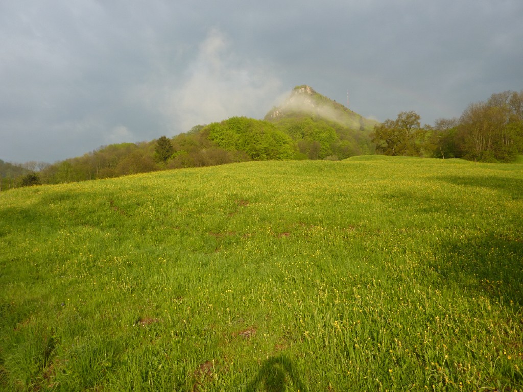 p1010063.jpg