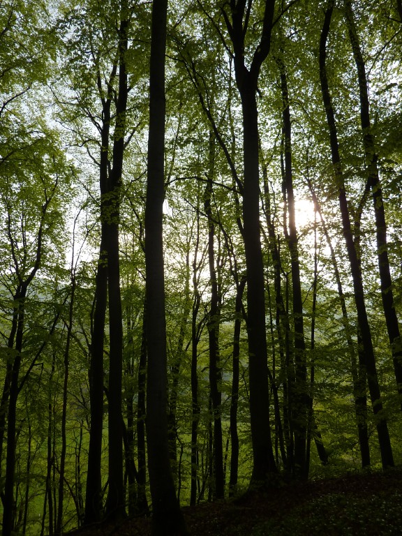 p1010064.jpg