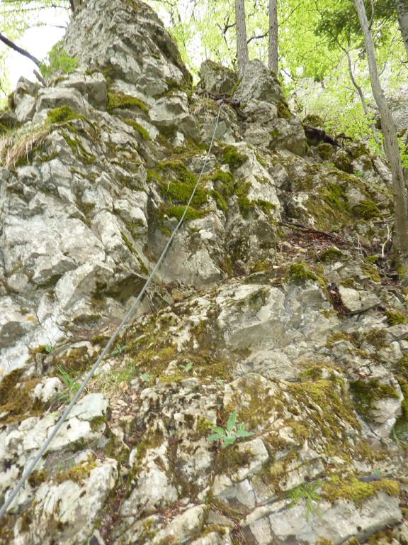 p1010070.jpg