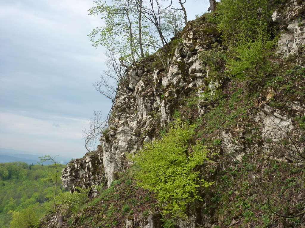 p1010073.jpg