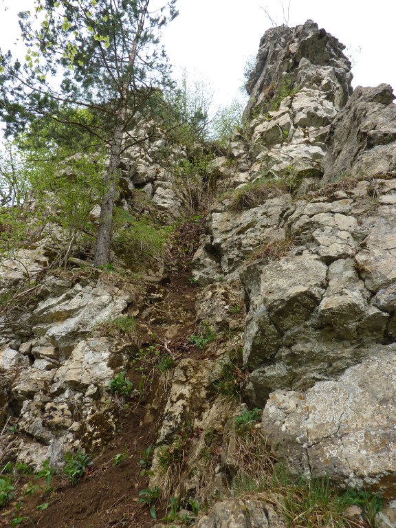 p1010074.jpg