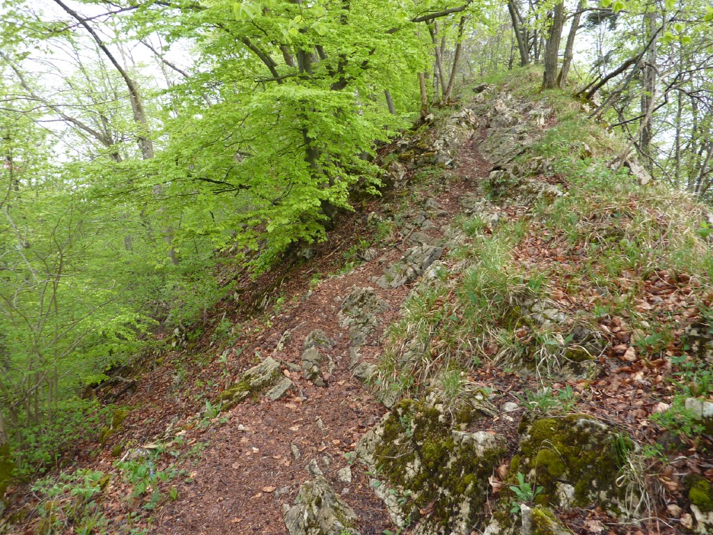 p1010077.jpg