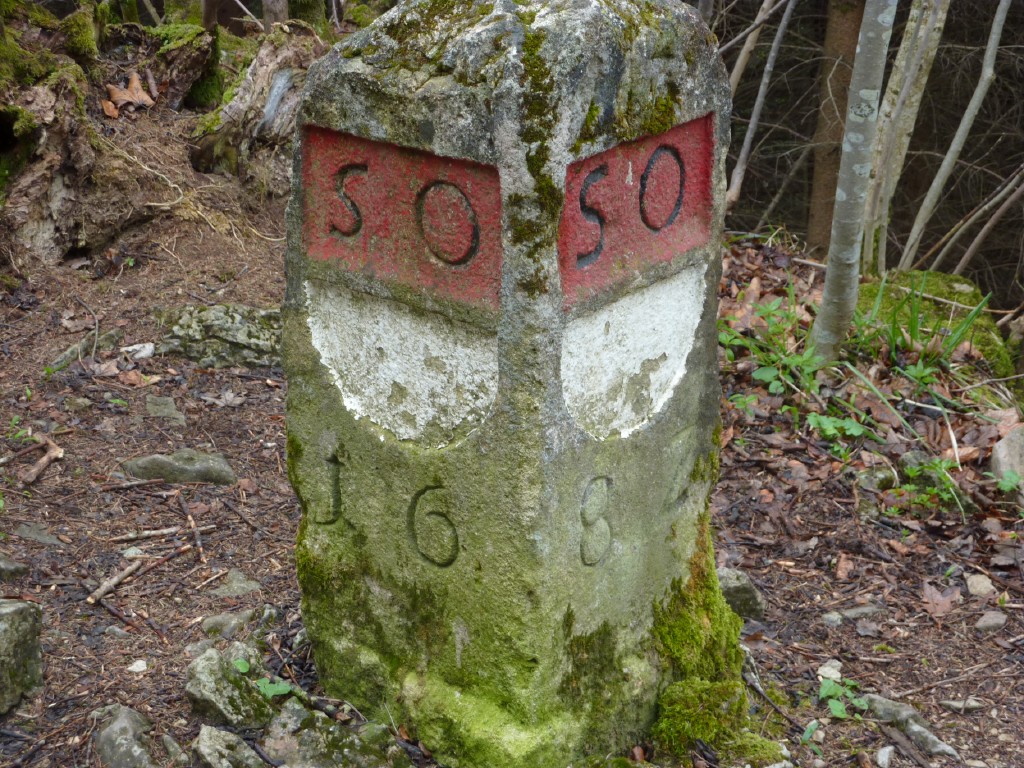 p1010080.jpg