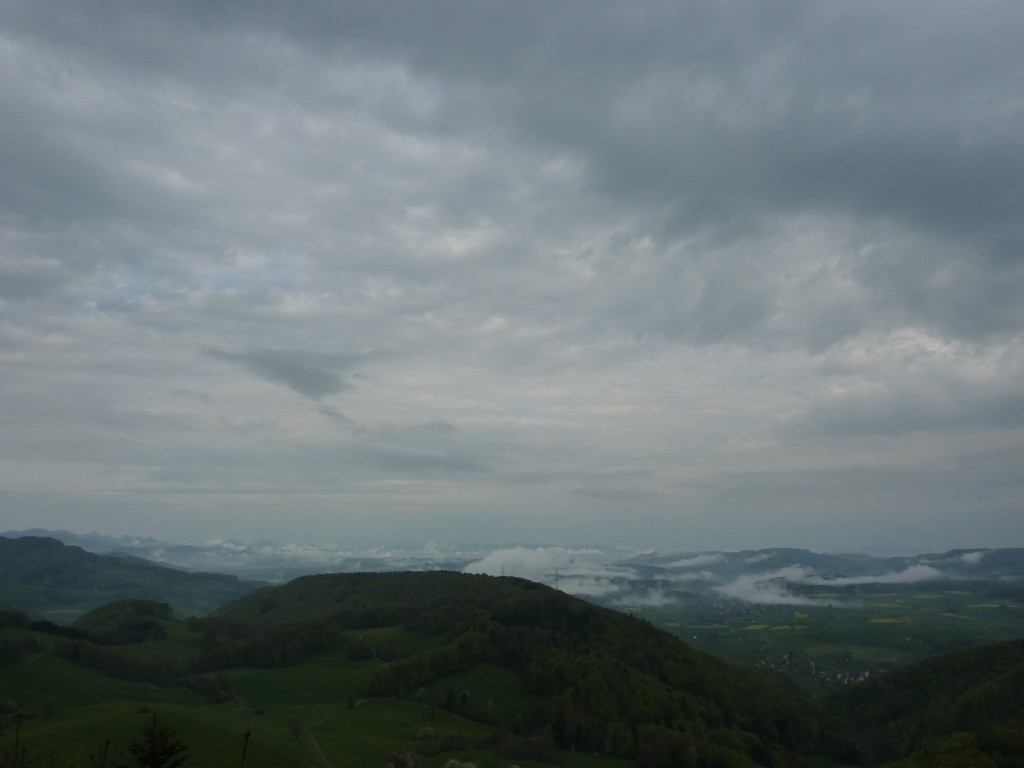 p1010081.jpg